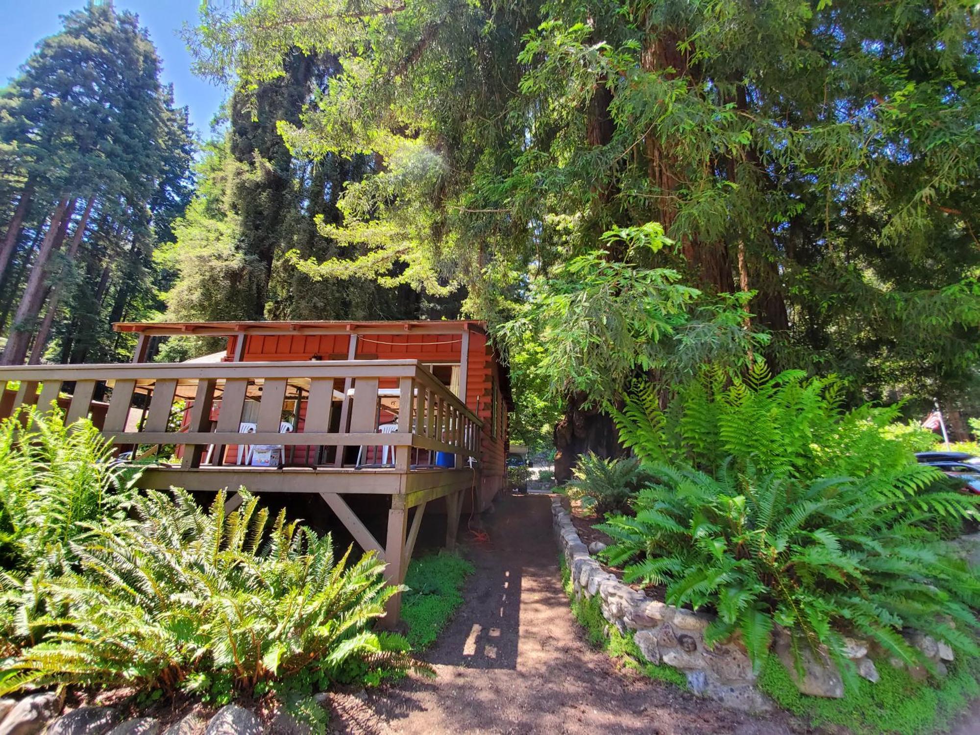 Fern River Resort カリフォルニア州フェルトン エクステリア 写真