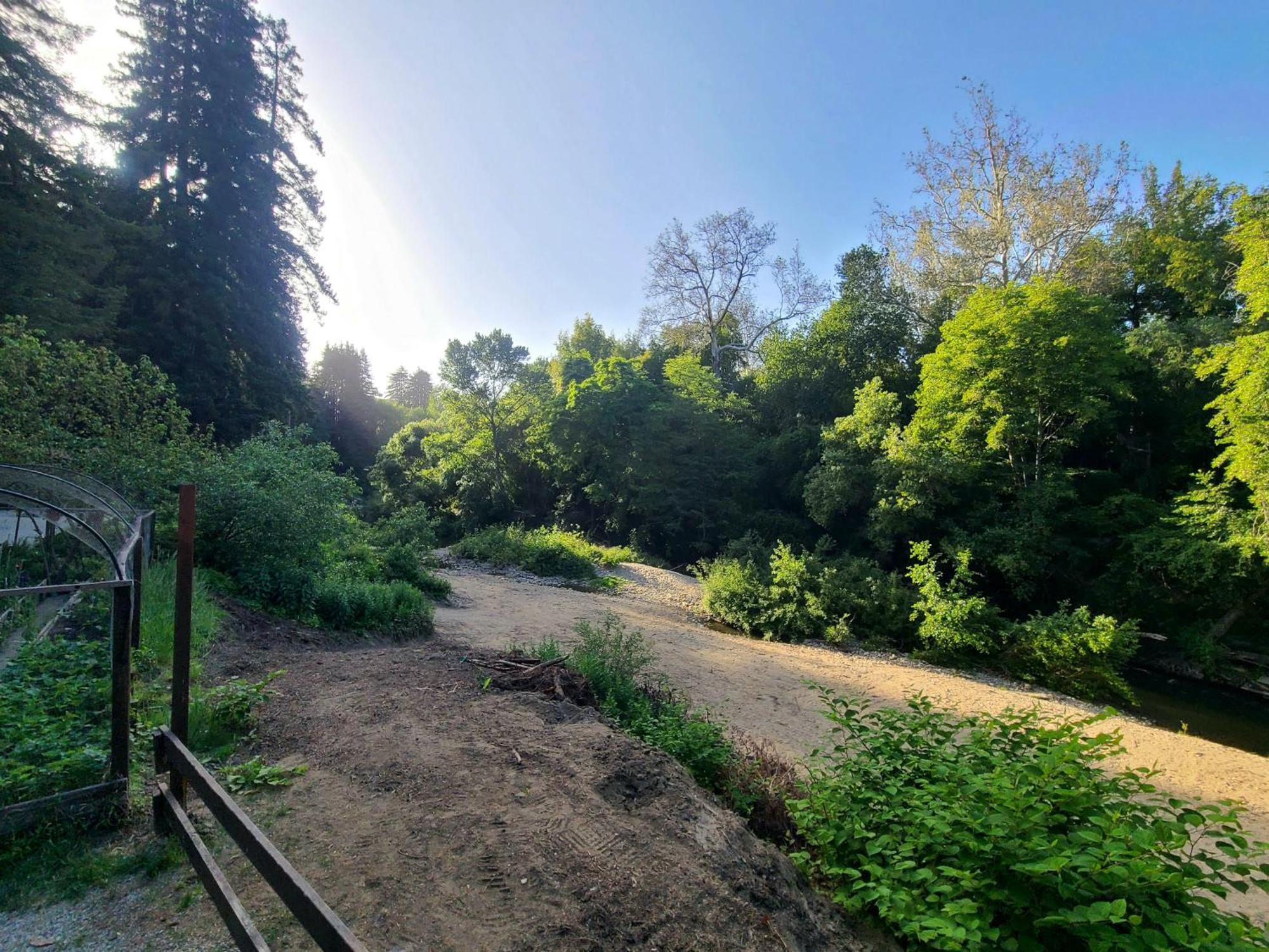 Fern River Resort カリフォルニア州フェルトン エクステリア 写真