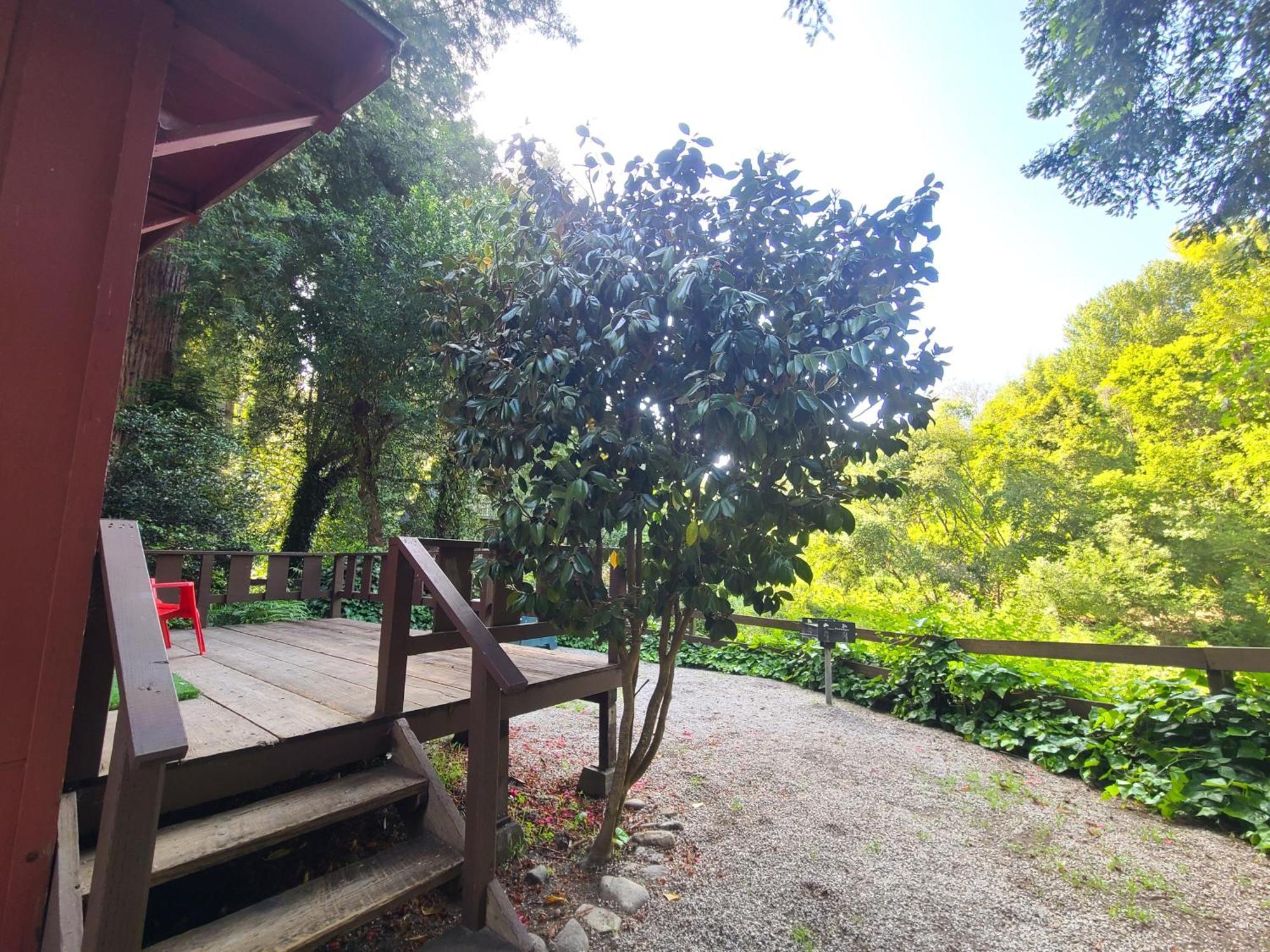 Fern River Resort カリフォルニア州フェルトン エクステリア 写真