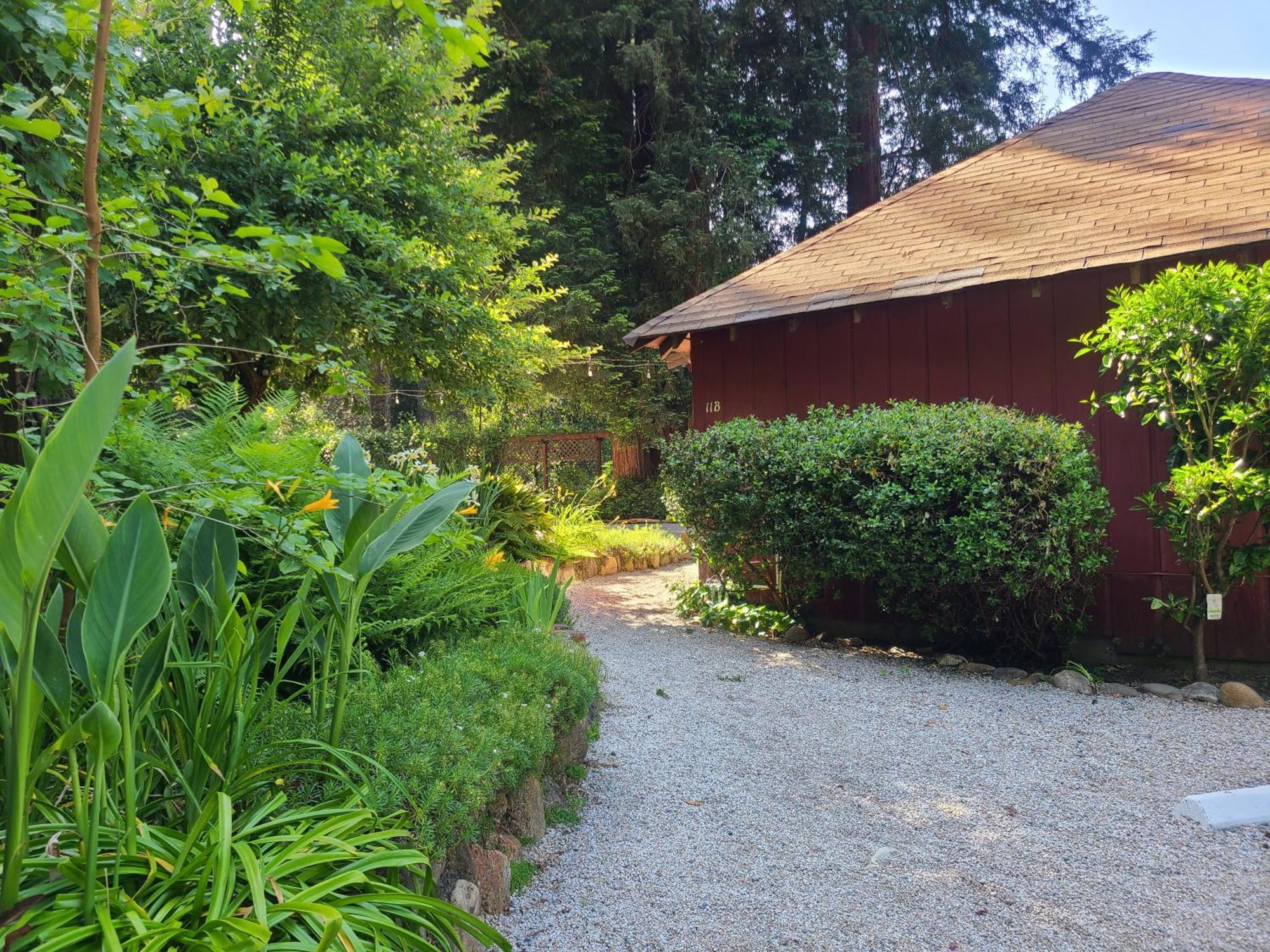 Fern River Resort カリフォルニア州フェルトン エクステリア 写真
