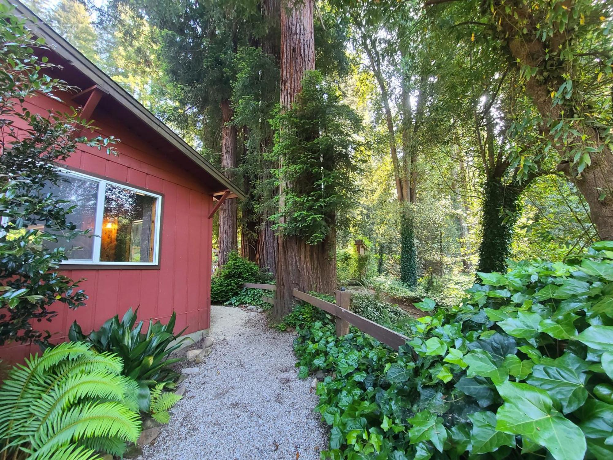 Fern River Resort カリフォルニア州フェルトン エクステリア 写真