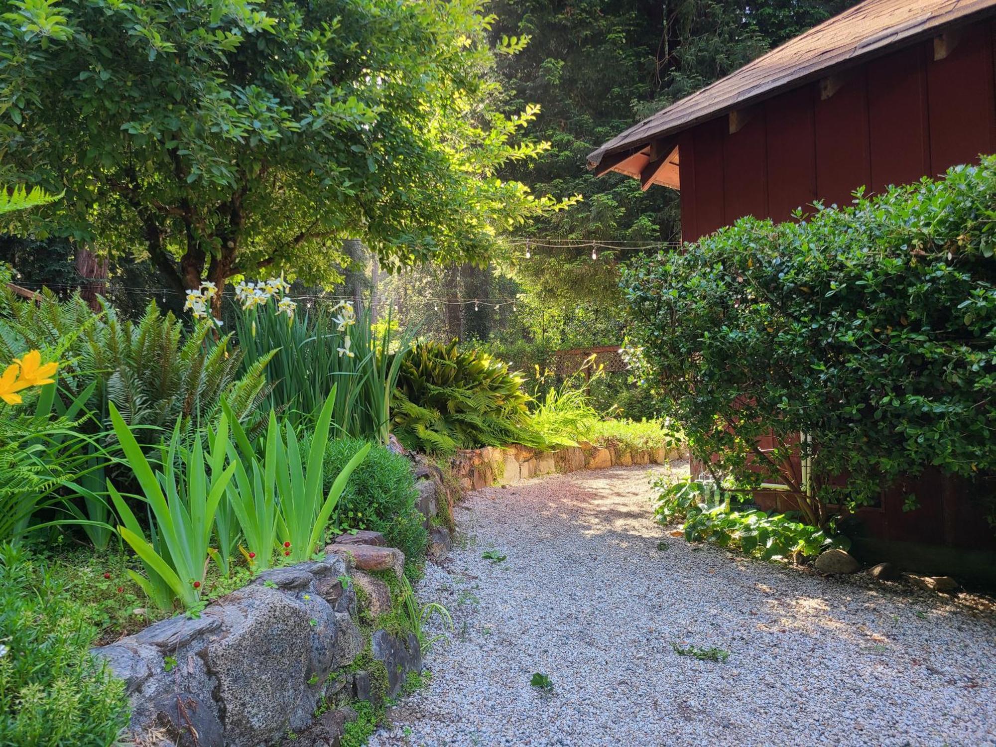 Fern River Resort カリフォルニア州フェルトン エクステリア 写真