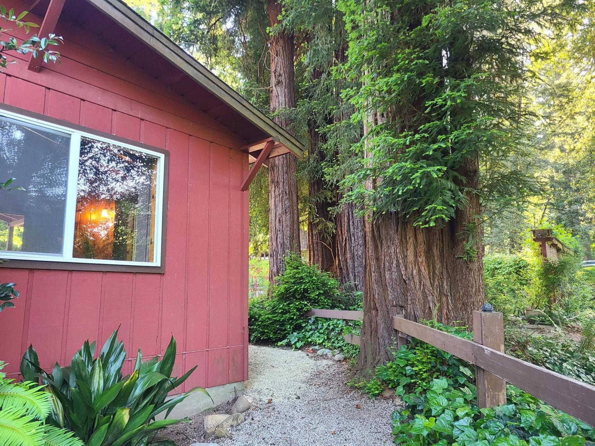 Fern River Resort カリフォルニア州フェルトン エクステリア 写真
